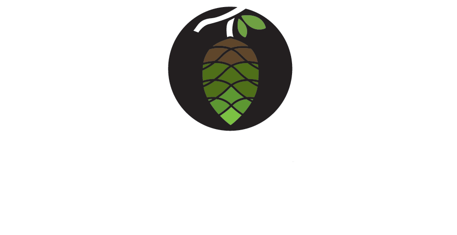 Terra Vale